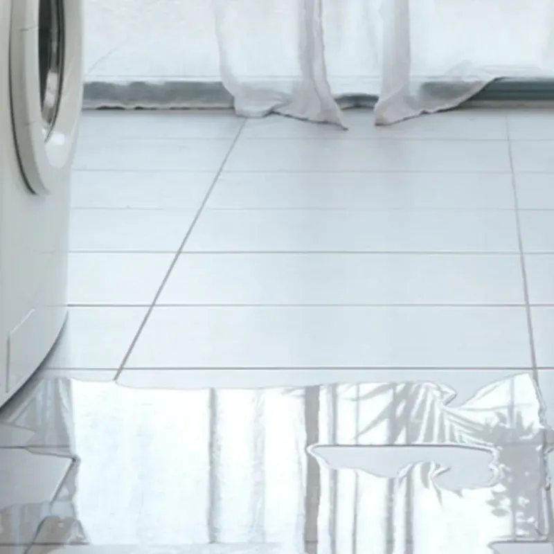 Appliance Leak Cleanup in Genoa, IL
