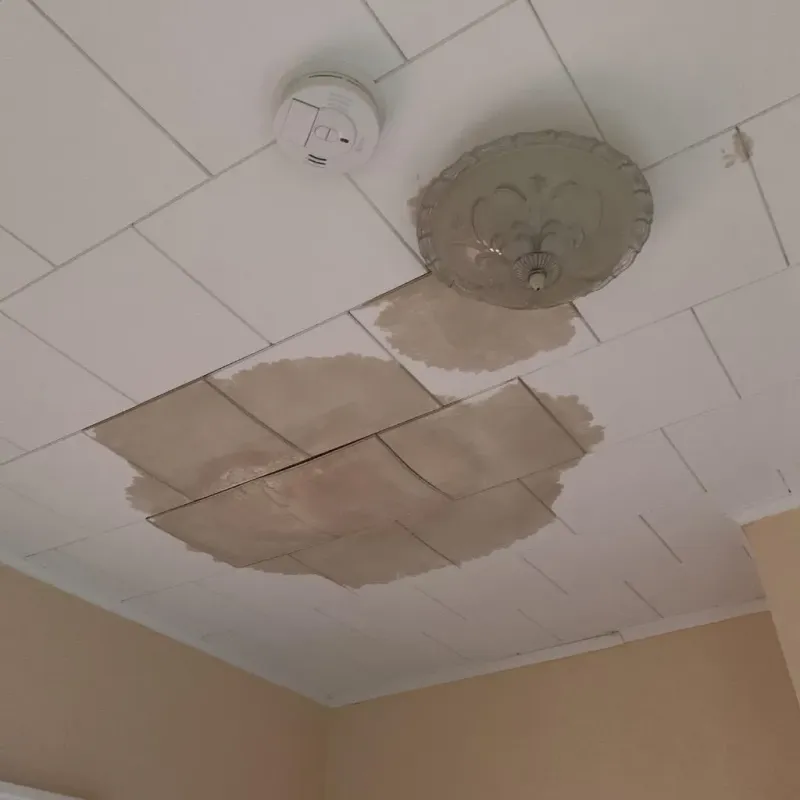 Ceiling Water Damage Repair in Genoa, IL