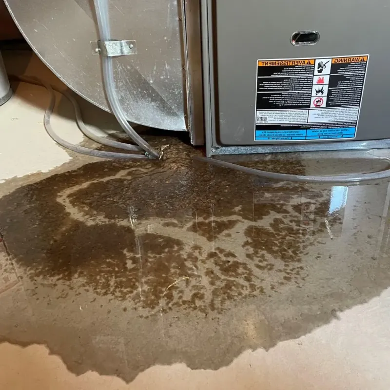 Pipe Burst and Leak Restoration in Genoa, IL