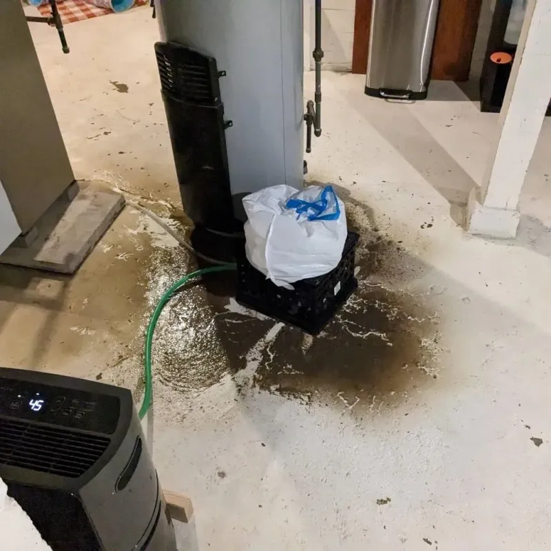 Sewage Backup Cleanup Service in Genoa, IL